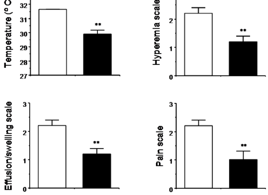 Intraarticular administration of Dobesilate for the Treatment of Knee Rheumatoid Arthritis