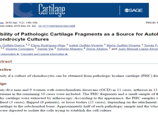 Viability of pathologic cartilage fragments as a source for autologous chondrocyte